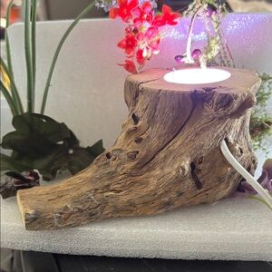 Driftwood LED Sphere color changing holder